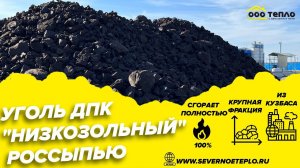 Уголь ДПК «Низкозольный» россыпь