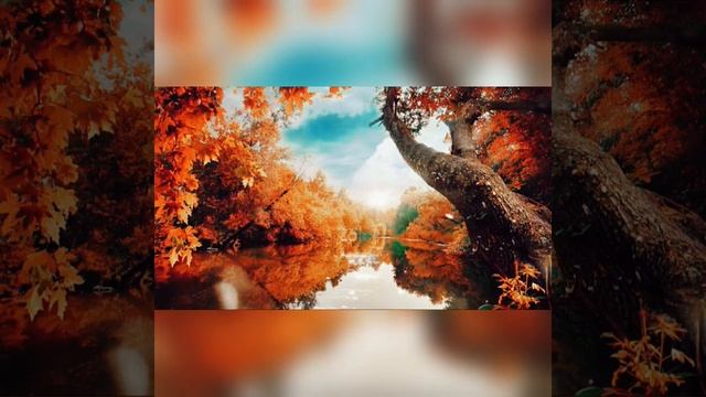 Пение птиц. Осенний лес.Река.Фон для сна.-Birdsong. Autumn . смотреть онлайн