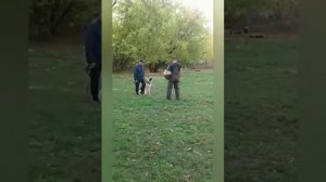 Пират vs фигурант! ВЕО защищает хозяина