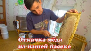 ОТКАЧКА ПЕРВОГО ЛИПОВОГО МЁДА НА НАШЕЙ ПАСЕКЕ В 2023 ГОДУ.