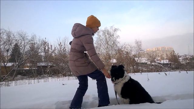 Фристайл с собакой от Масяни и Лизы | команда Кейт смотреть онлайн