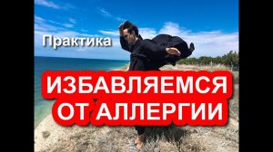 Практика.  Как легко и быстро избавиться от Аллергии?