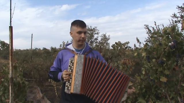 Яблоневый вечер. Песни по баян в деревне
