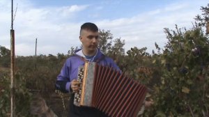 Яблоневый вечер. Песни по баян в деревне