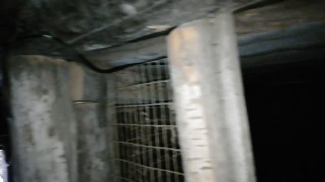 Вьетнамские поросята неожиданно начали размножатся смотреть онлайн