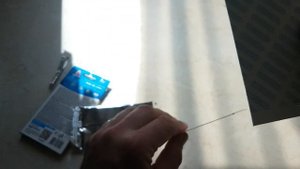 Наклейка Раптор защита от пищевой моли