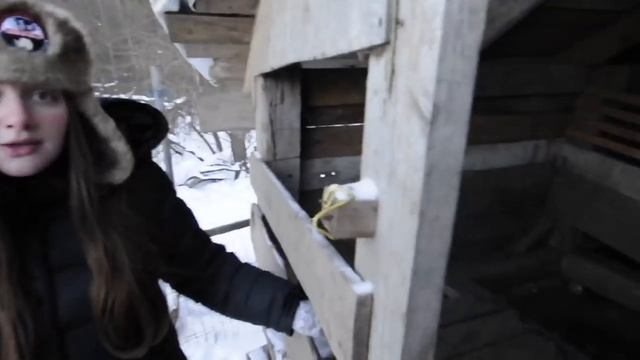 ВЬЕТНАМСКИЕ СВИНЬИ + МАНГАЛИЦА. Наш опыт, ошибки, содержание зимой