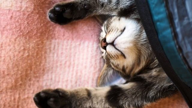 Как расслабиться, снять стресс, снять напряжение. смотреть онлайн