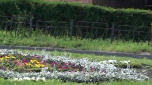 город Лермонтов  Ставропольский край