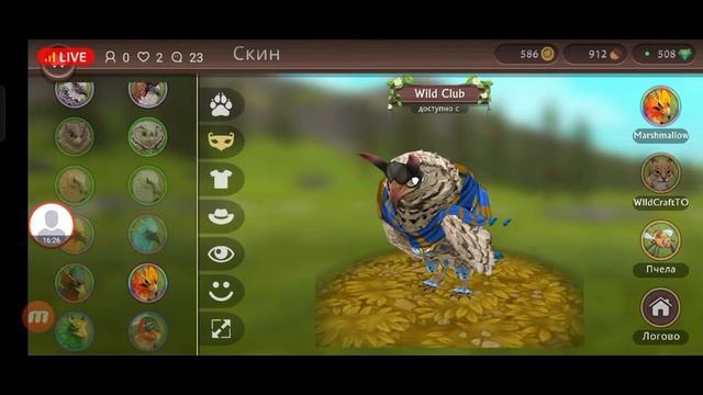 Играю в Wildcraft..Ожидаю большое количество людей на стриме.{MapleStars}💎 смотреть онлайн