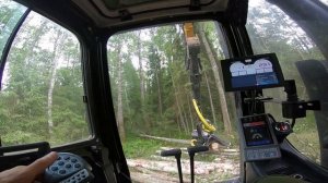 Вологда. Харвестер Sany 245F с х/г Logset TH75 | ОперУпалНамоченный 41-я серия