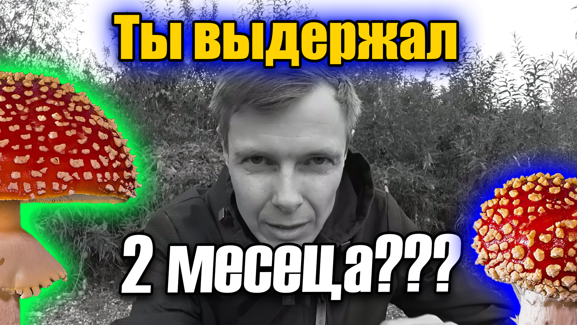 Нужно ли выдерживать мухоморы после сушки