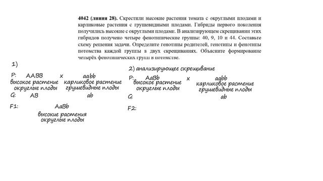 Решение генетических задач. Сцепленное наследование признаков с кроссинговером смотреть онлайн