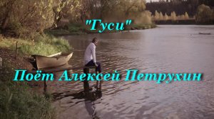 Гуси