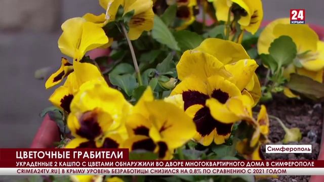 В Симферополе нашли украденные кашпо с цветами