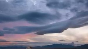 Wrangel Island Russia остров Врангеля ウランゲリ島