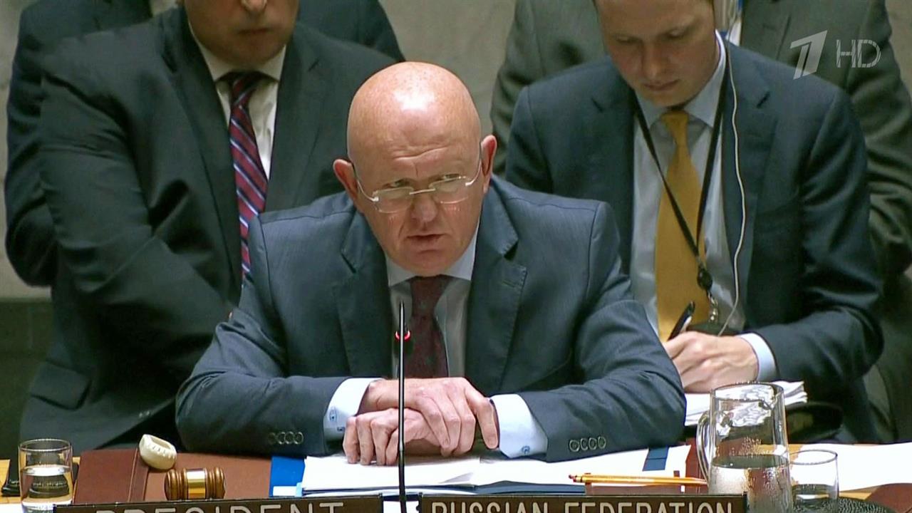 Совбез ООН не принял ни один из вариантов резолюции по урегулированию в сирийском Идлибе