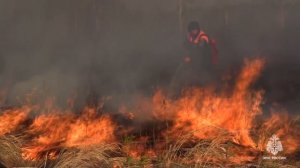 Вновь сотрудники МЧС России реагировали на возгорание сухой травы вблизи с. Голубичное Амурского рай
