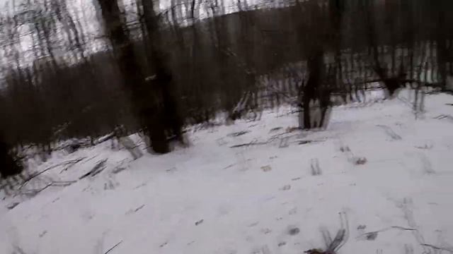 Охота на лису и зайца с эстонской гончей в Курской области!?Hunting! смотреть онлайн