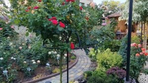 Опоры под плетистые, штамбовые розы.