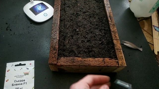 Первые Посевы / Поставил Парник(27.02.24)🇺🇦 смотреть онлайн