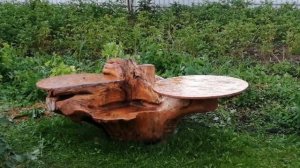 Мебель из корня дерева для дачи своими руками