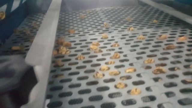 Ceviz Kırma Hattı - Walnut Cracking Line - خط تكسير الجوز - Линия раскалывания орехов смотреть онлайн