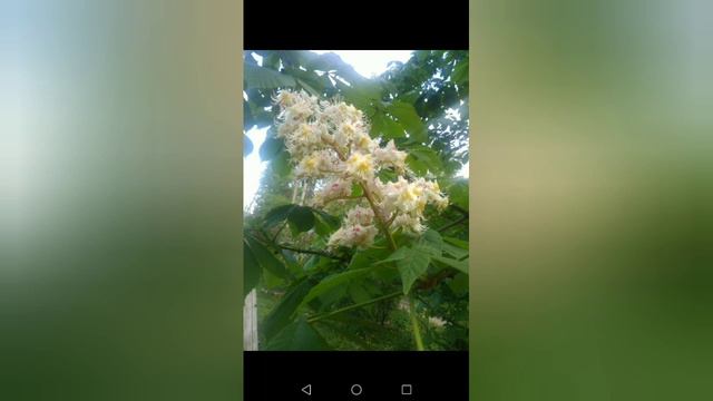 КАК НАБРАТЬ ПЕРВЫЕ 200 ПОДПИСЧИКОВ НА ЮТУБЕ !!! смотреть онлайн