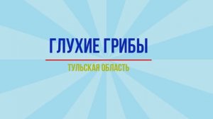 Собираем глухие грибы. Так же их называют поддубники или дубовики. Гриб из семейства боровиков.