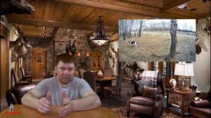 Нулевая родословная. Как получить документы на собаку.