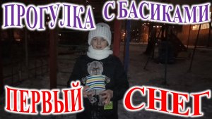 ПРОГУЛКА С БАСИКАМИ! ПЕРВЫЙ СНЕГ!