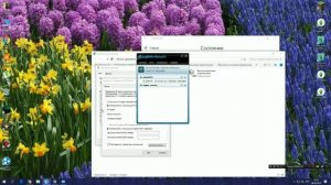 Как играть с другом вместе в одиночном режиме в майнкрафт через Hamachi 100% (на Windows 10)