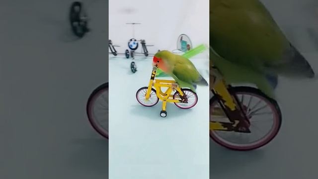 ХВХВВХХАВХХВХВХВ смотреть онлайн