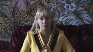 Где и как купить породистого котенка (часть 1)