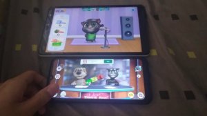 My Talking Tom Friends & Talking News Echo 386