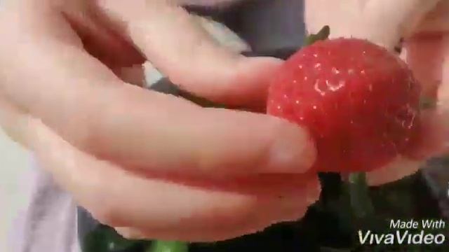 Вырастили клубнику ДОМА! Вкуснятина!!! смотреть онлайн