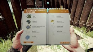 как сделать лечебный набор в игре The Forest