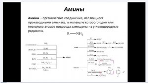 Лекция «Биологически важные органические соединения» #егэ #химия #пнипу #пермскийполитех