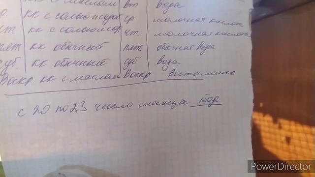птицеводство с ноля. ещё не поздно. беды перепëлок❗моя деревенская жизнь. country life смотреть онлайн