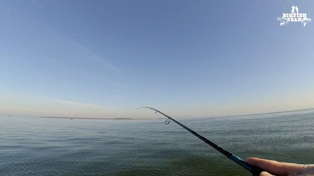 Судаковое пиршество! Клюёт весь день! Рыбалка в Калининграде. смотреть онлайн