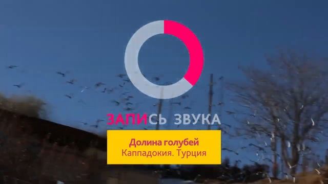 Долина голубей / Каппадокия Турция / PIGEONS / TAUBE #Gulsarino смотреть онлайн