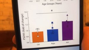 Как компания «Геро» смогла омолодить мышей.