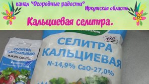 Кальциевая селитра.