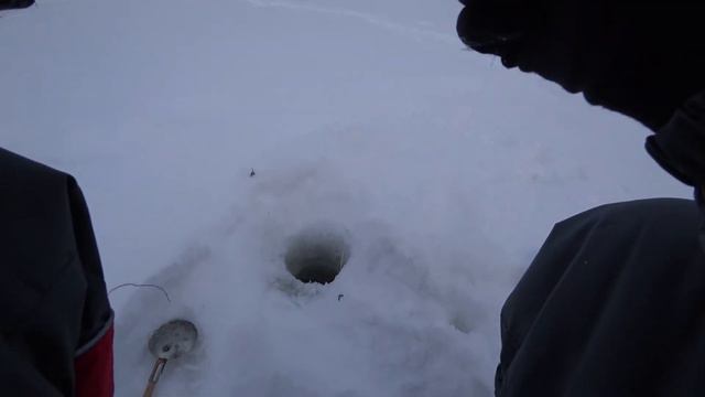 Ловись щука большая и маленькая! Рыбалка 07.03.2021 смотреть онлайн