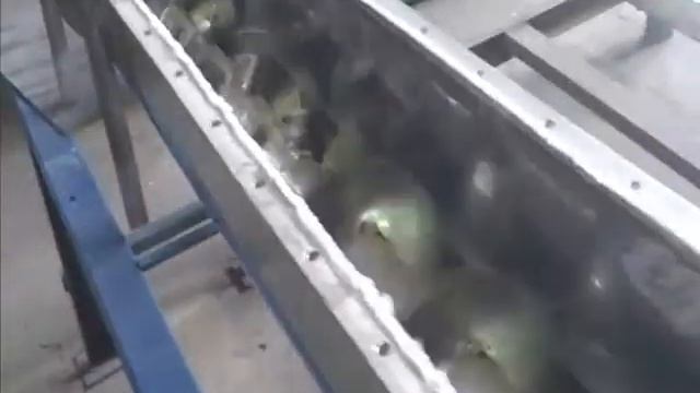 Шнек-смеситель.