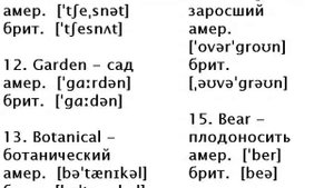 20 СЛОВ (5) Английские слова с транскрипцией и переводом