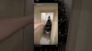 Матя; Гительман Наехала На Катю Гительман