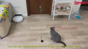 Интерактивные игрушки для кошек
