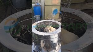 Ощип утки в перосъемной машине nt600a. АГРОСТАРТ. отзыв покупателя.