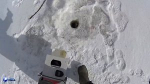 ЛУЧШАЯ МОРМЫШКА ДЛЯ ПЕРВОЛЕДЬЯ 2021/2022! ЛОВИМ ОКУНЕЙ И ПЛОТКУ НА БЕЗМОТЫЛКУ!